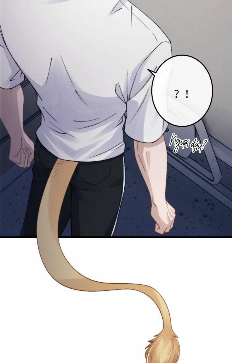 Chấp Sự Thỏ Cụp Tai: Chapter 14