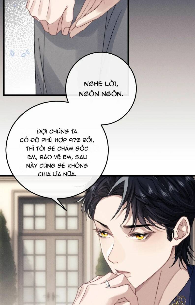Chấp Sự Thỏ Cụp Tai: Chapter 16