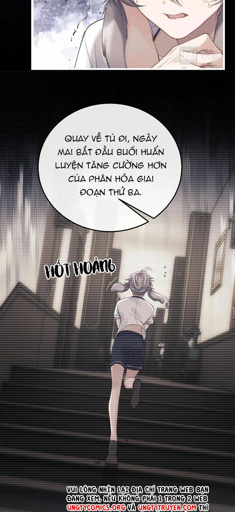 Chấp Sự Thỏ Cụp Tai: Chapter 22