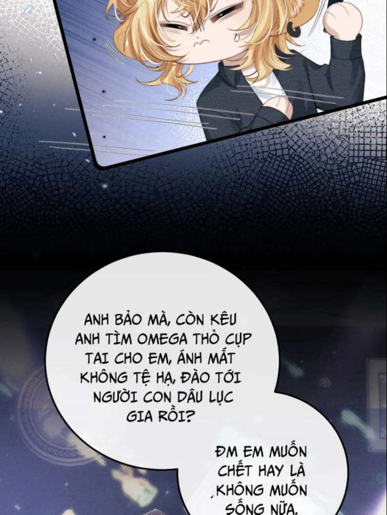 Chấp Sự Thỏ Cụp Tai: Chapter 28