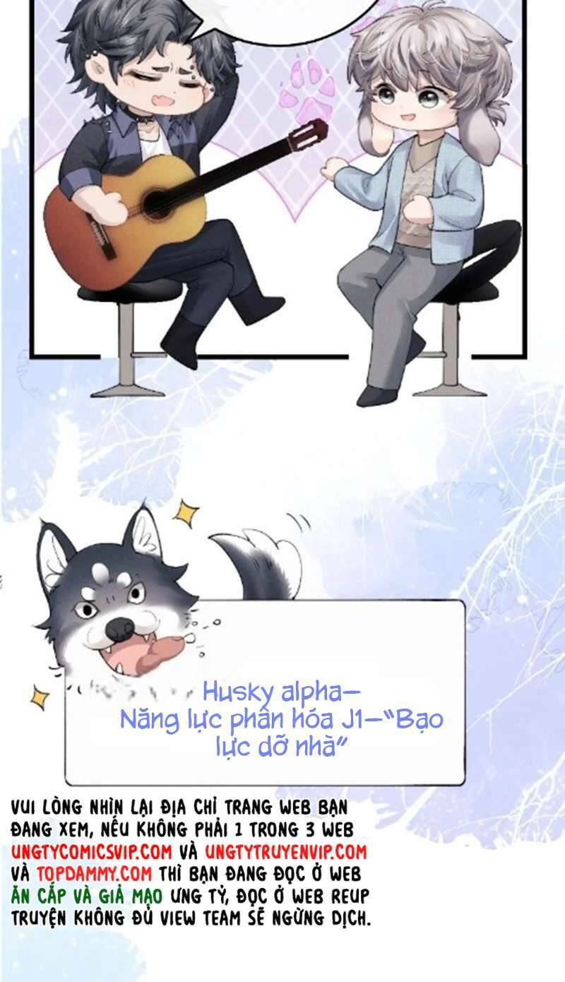 Chấp Sự Thỏ Cụp Tai: Chapter 35