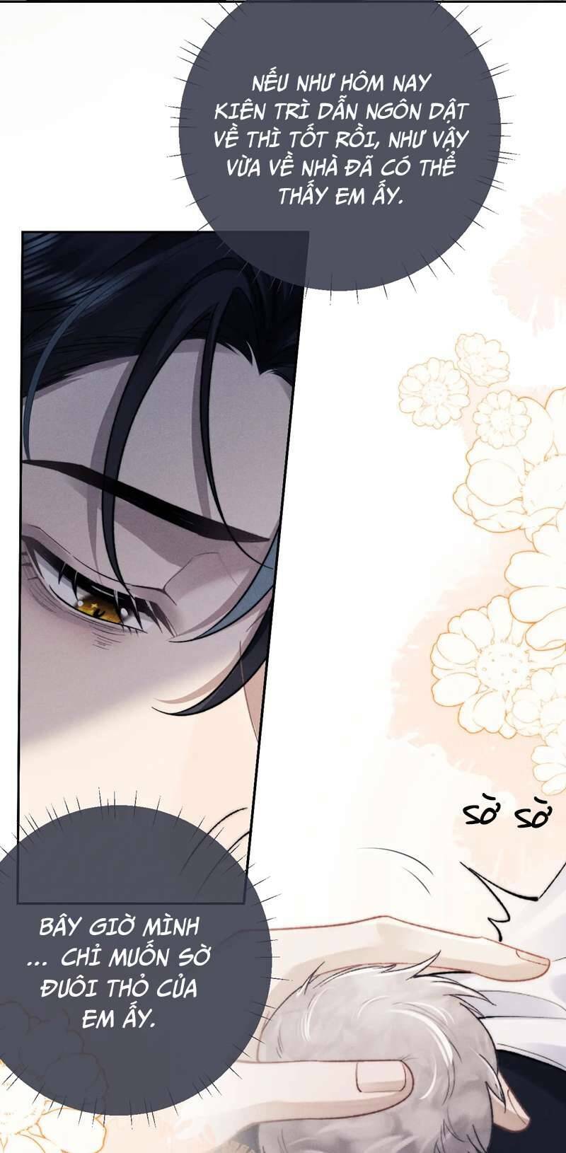Chấp Sự Thỏ Cụp Tai: Chapter 49