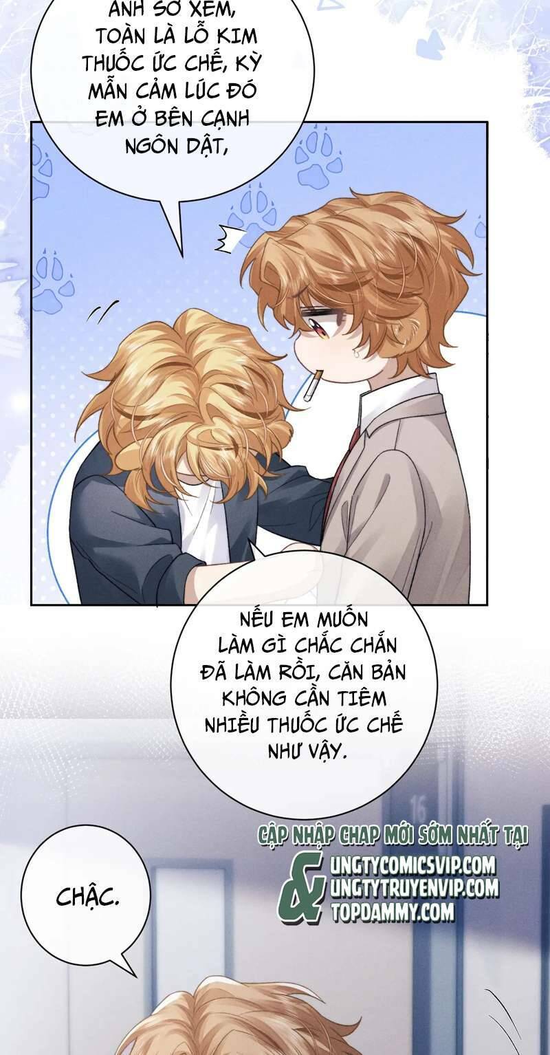 Chấp Sự Thỏ Cụp Tai: Chapter 49