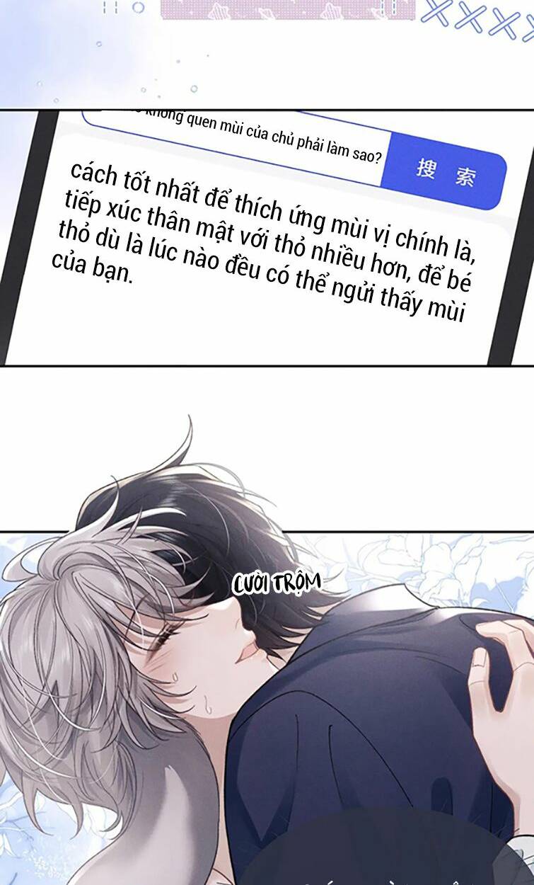 Chấp Sự Thỏ Cụp Tai: Chapter 54