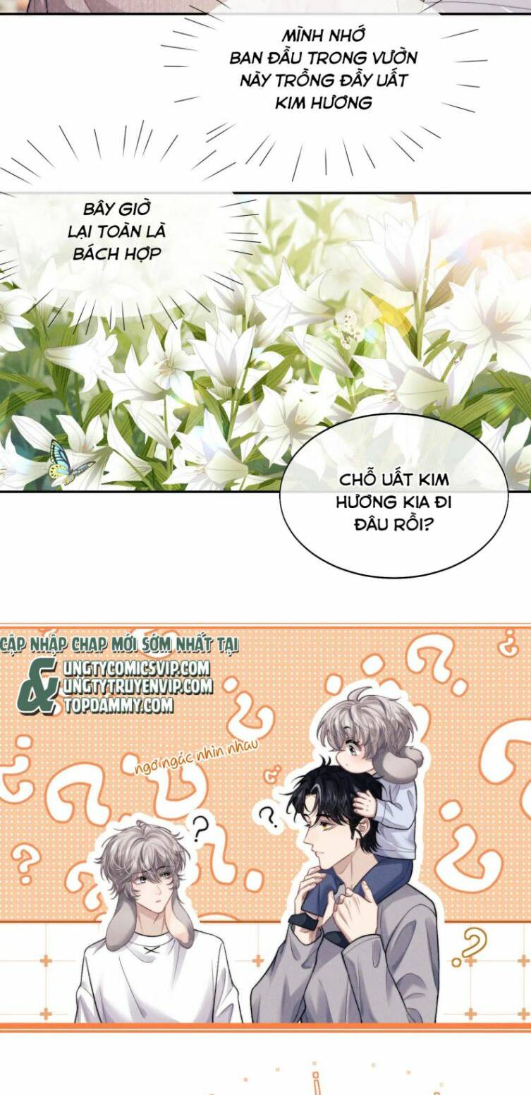Chấp Sự Thỏ Cụp Tai: Chapter 55