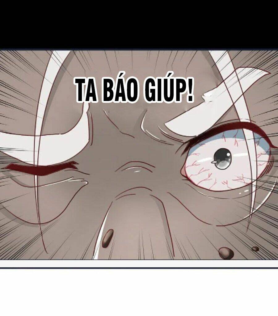 Từ Chối Kết Hôn Với Đại Gia: Cô Dâu Bỏ Trốn: Chapter 70