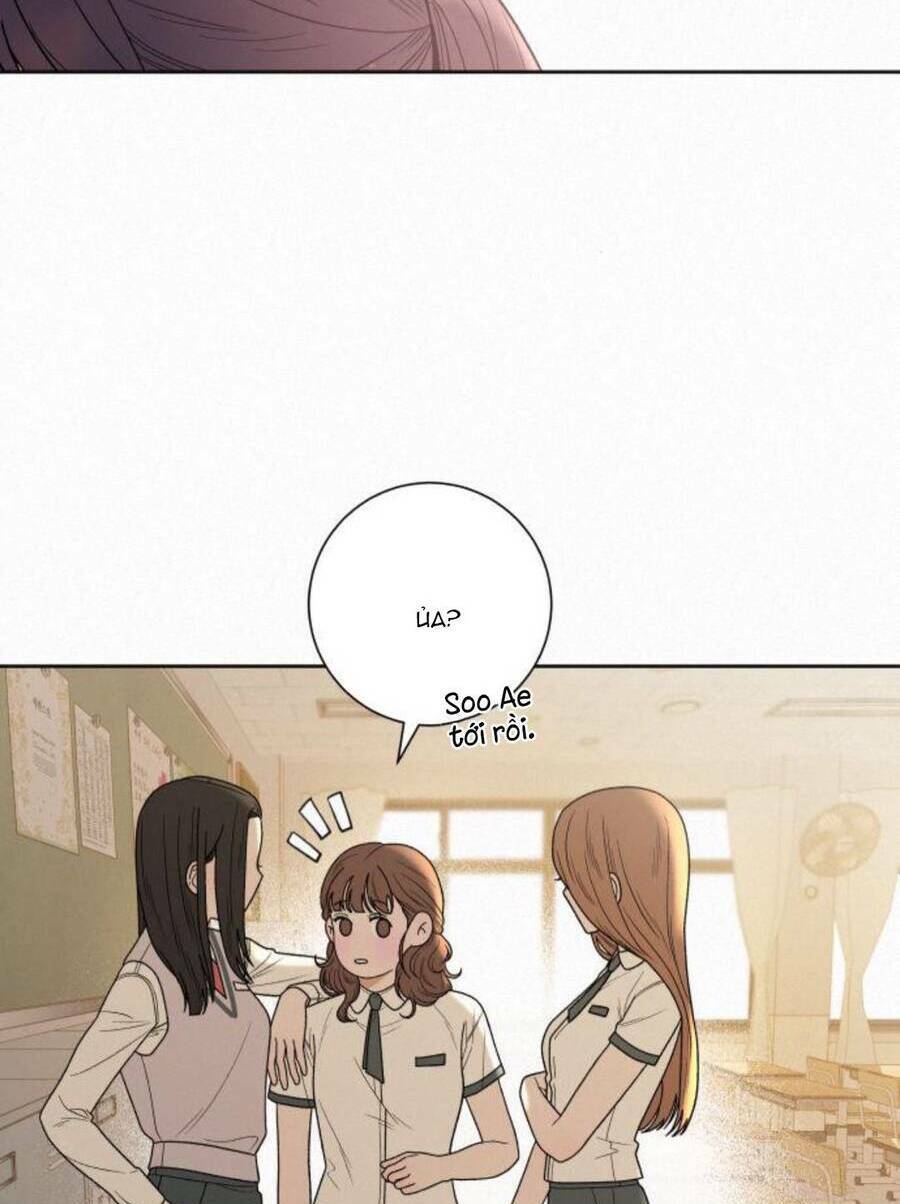 Chiến Lược: Tình Yêu Trong Sáng: Chapter 50