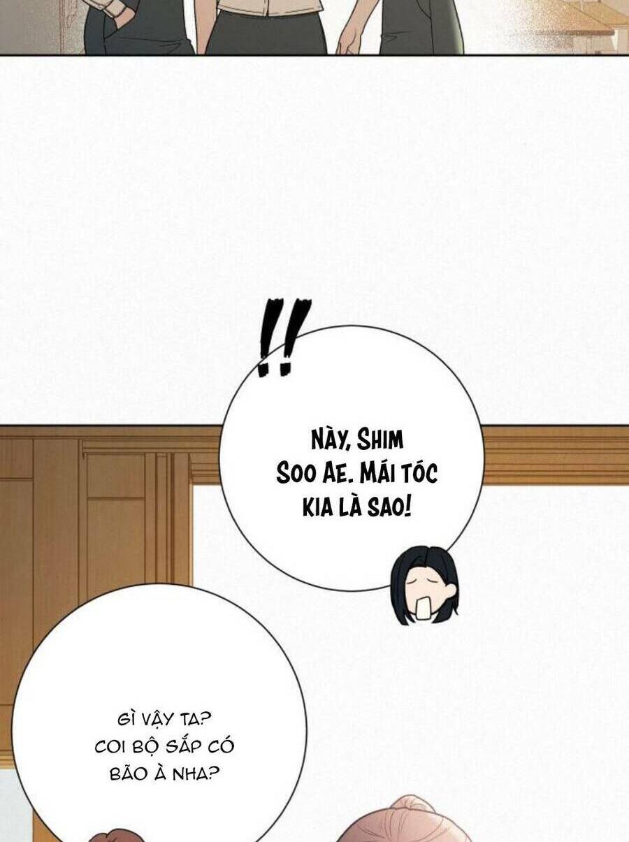 Chiến Lược: Tình Yêu Trong Sáng: Chapter 50