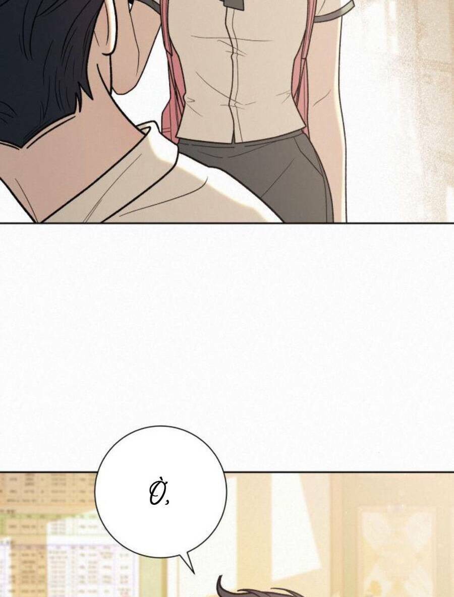 Chiến Lược: Tình Yêu Trong Sáng: Chapter 50