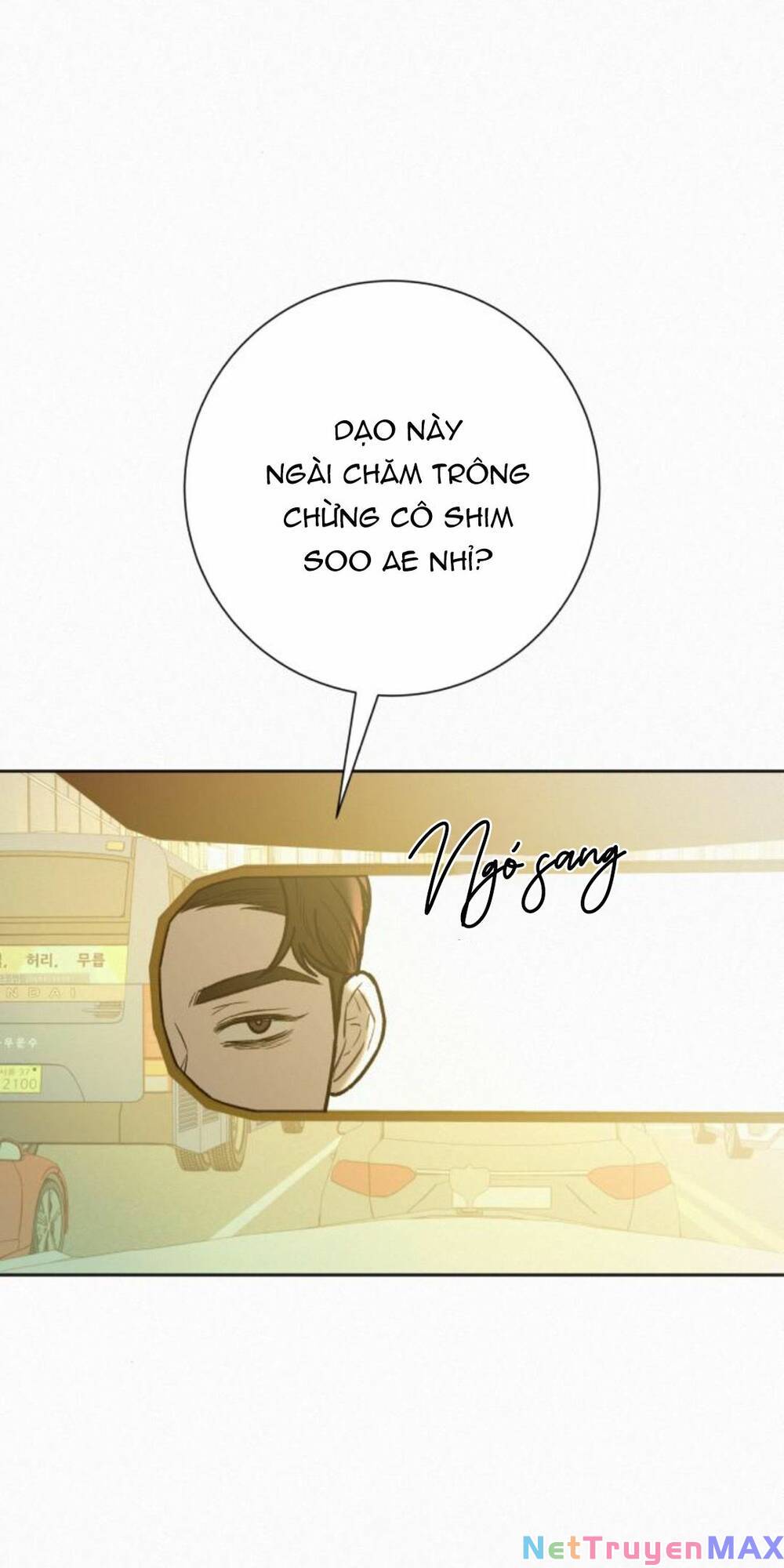 Chiến Lược: Tình Yêu Trong Sáng: Chapter 65