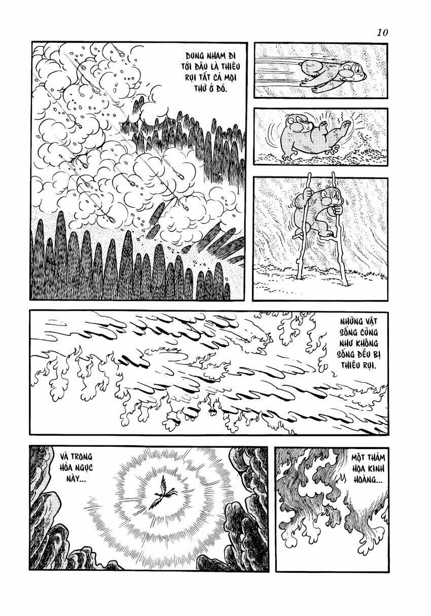 Chim Lửa: Chapter 1