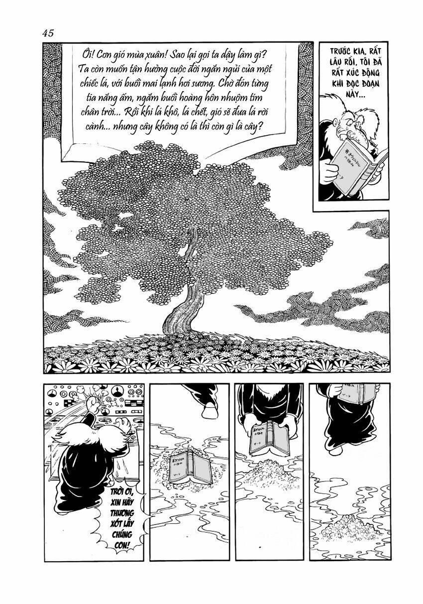Chim Lửa: Chapter 19