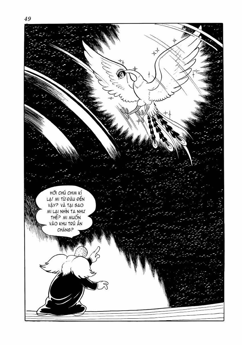 Chim Lửa: Chapter 19