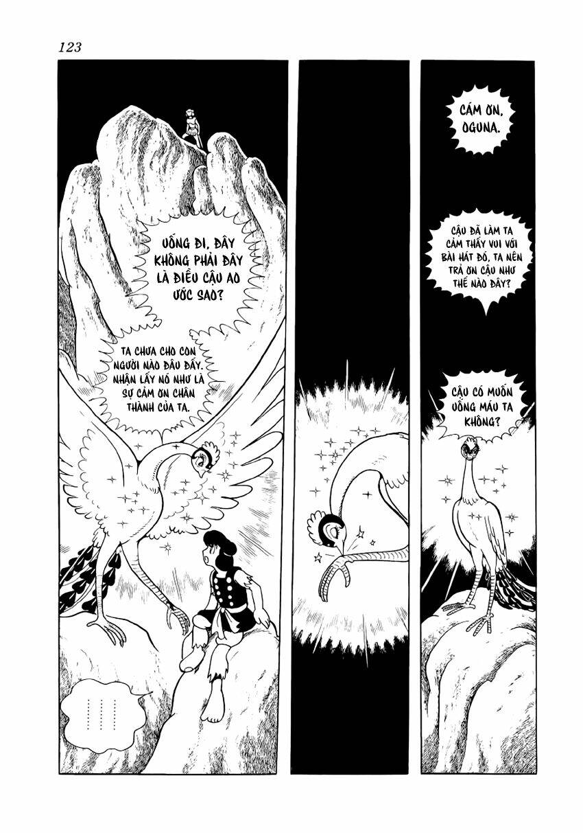 Chim Lửa: Chapter 36