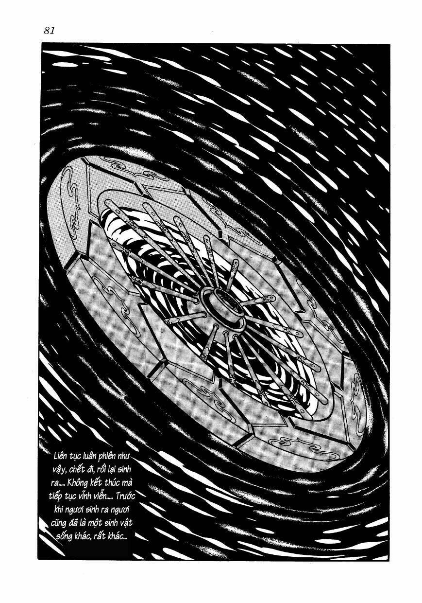 Chim Lửa: Chapter 46