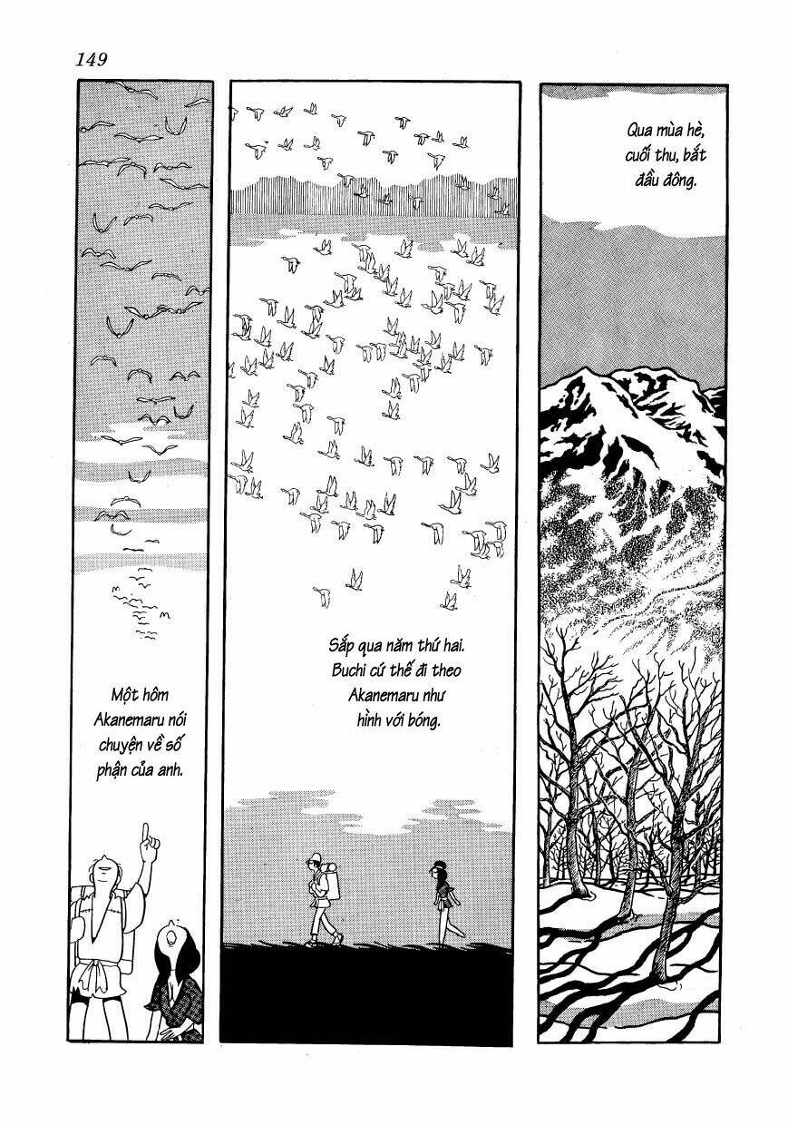 Chim Lửa: Chapter 48
