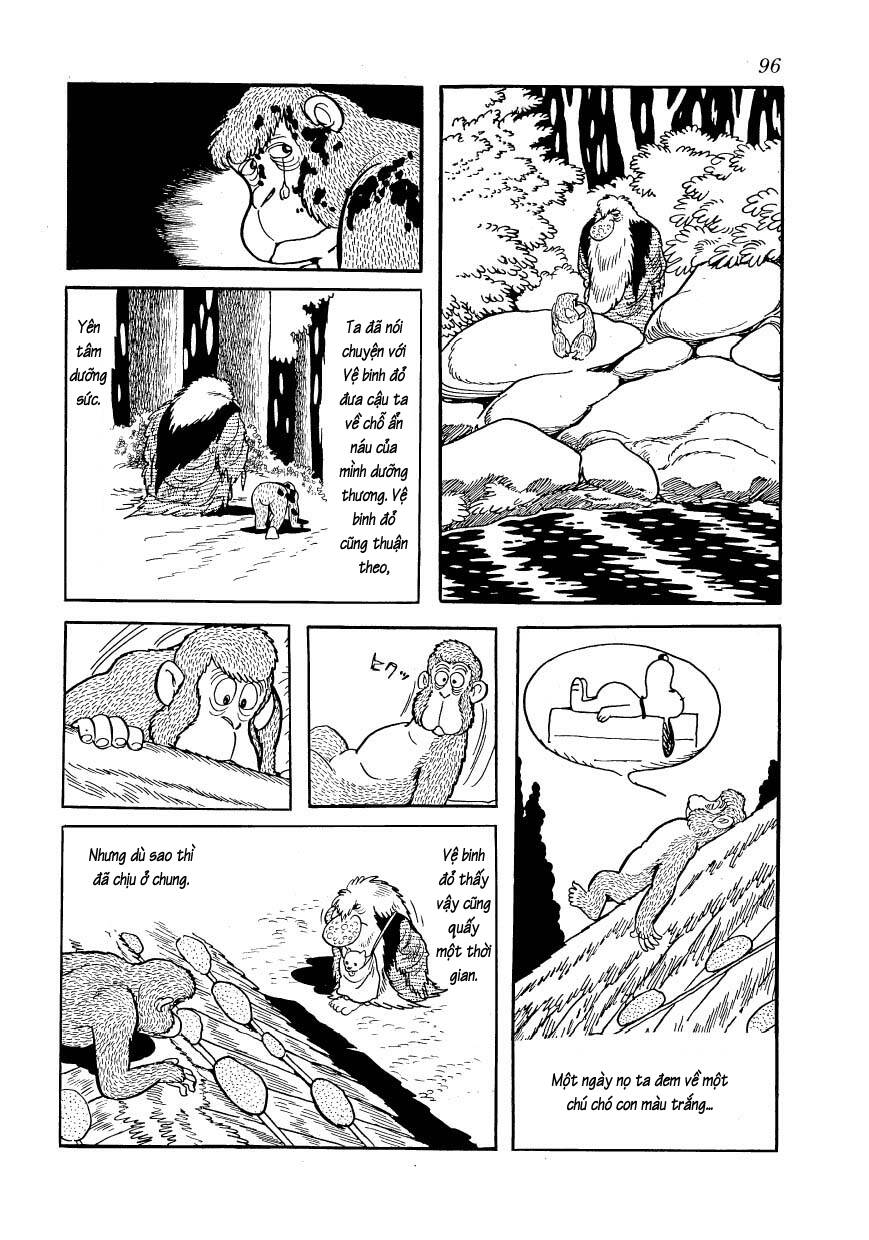 Chim Lửa: Chapter 80