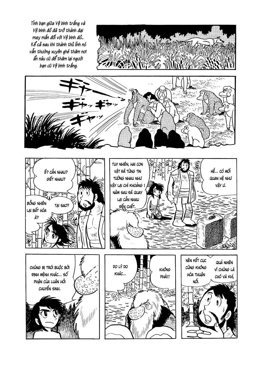 Chim Lửa: Chapter 81