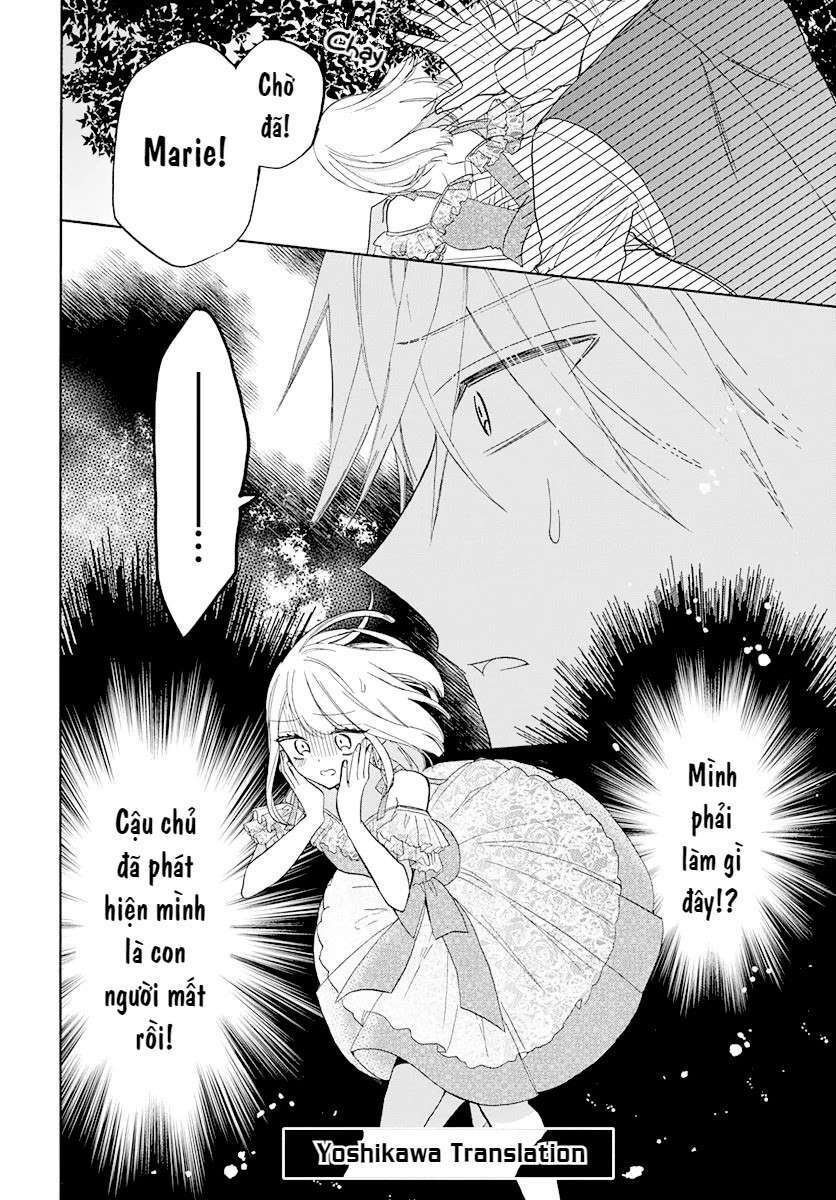 Cô Hầu Gái Người Máy: Chapter 2