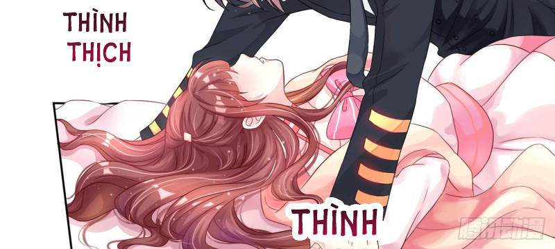 Cơ Trưởng Ngài Nhẹ Nhàng Thôi: Chapter 5