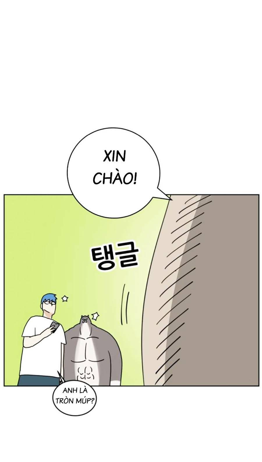 con mèo đô vật của tôi: Chapter 5