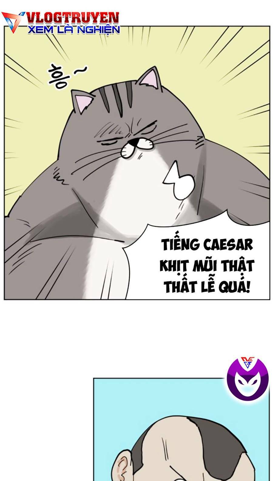 con mèo đô vật của tôi: Chapter 5