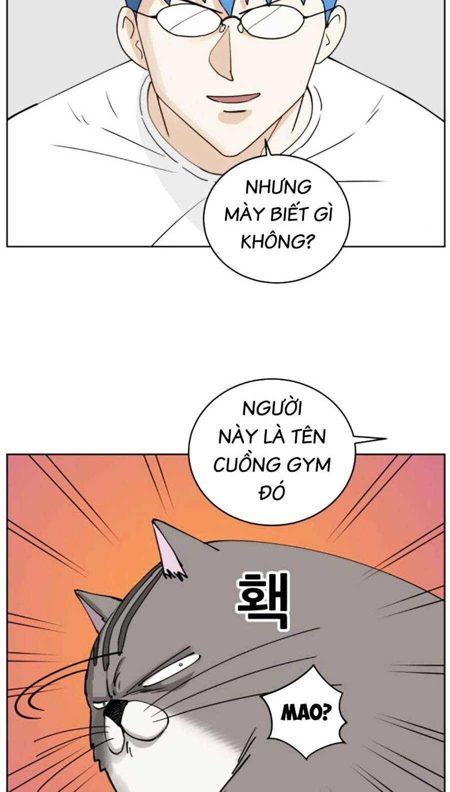 con mèo đô vật của tôi: Chapter 5