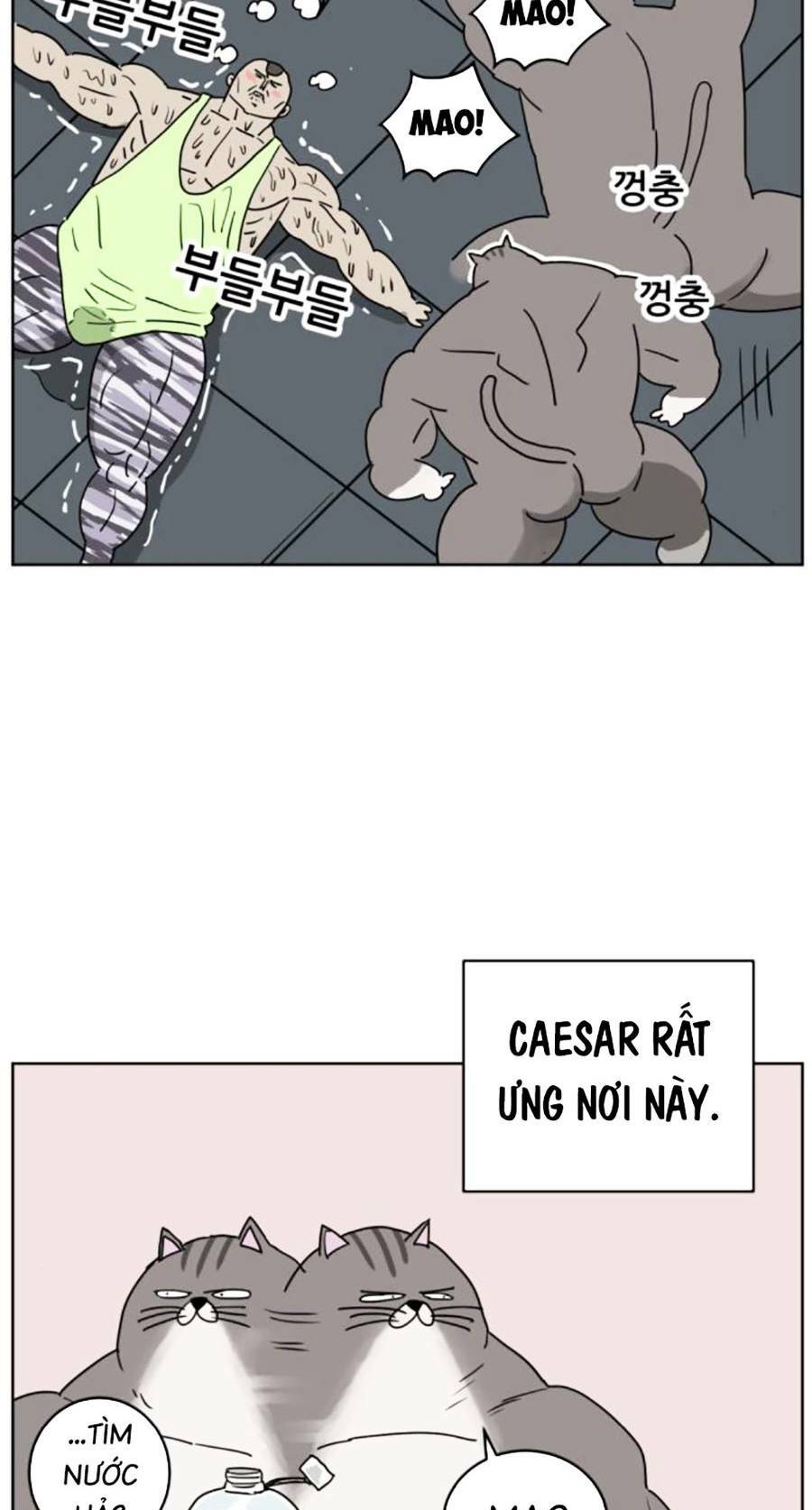 con mèo đô vật của tôi: Chapter 5