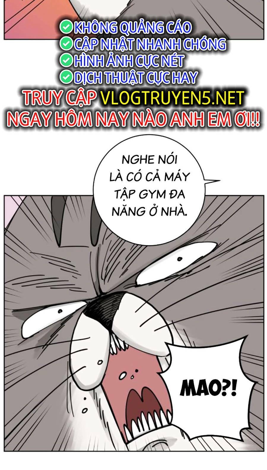 con mèo đô vật của tôi: Chapter 5