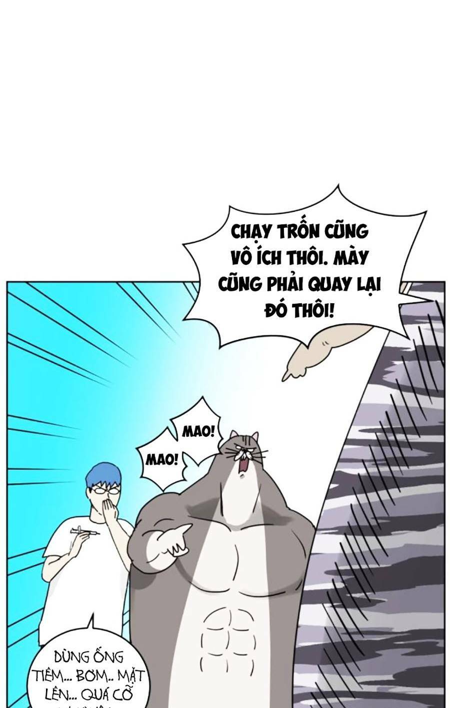 con mèo đô vật của tôi: Chapter 5