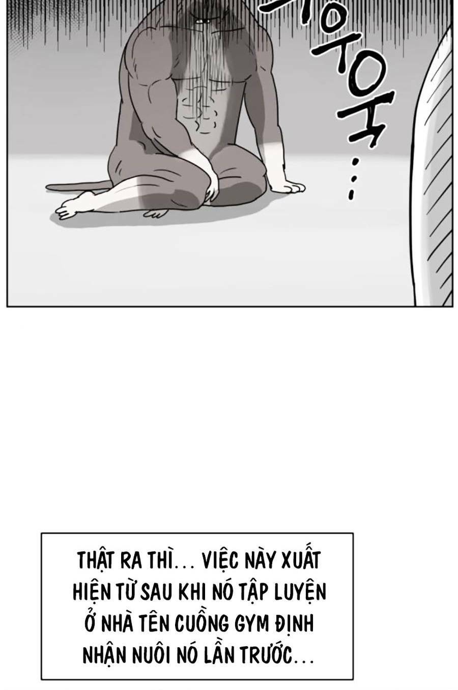 con mèo đô vật của tôi: Chapter 7