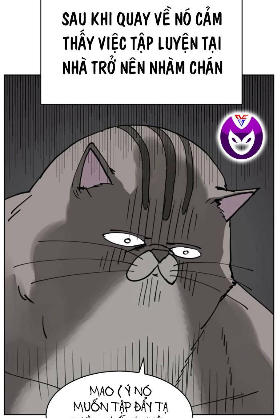 con mèo đô vật của tôi: Chapter 7