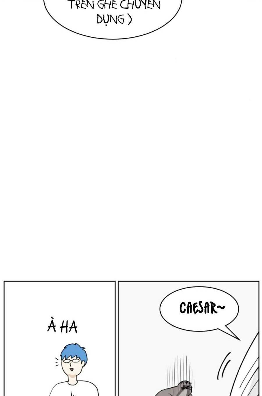 con mèo đô vật của tôi: Chapter 7