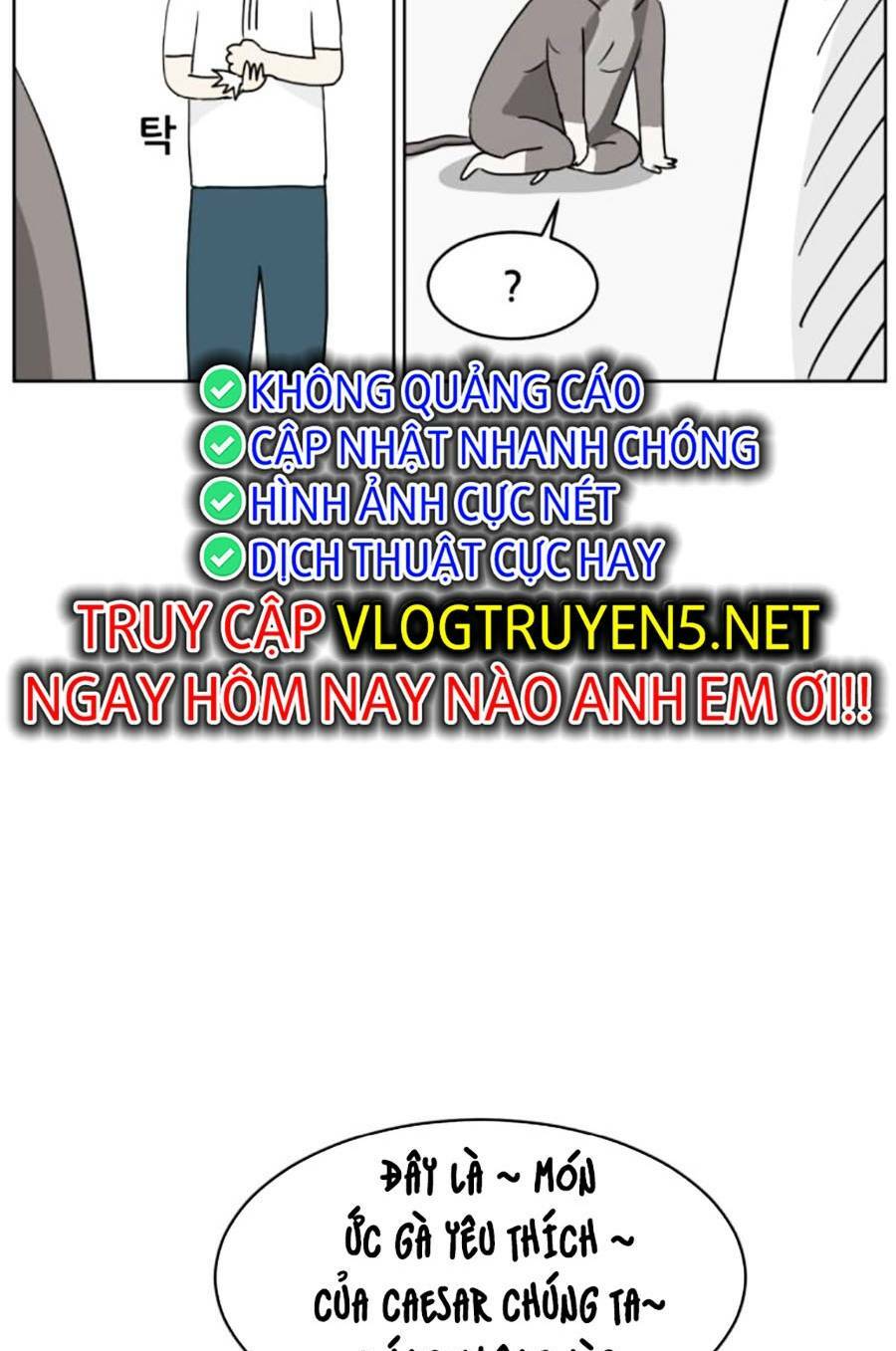 con mèo đô vật của tôi: Chapter 7
