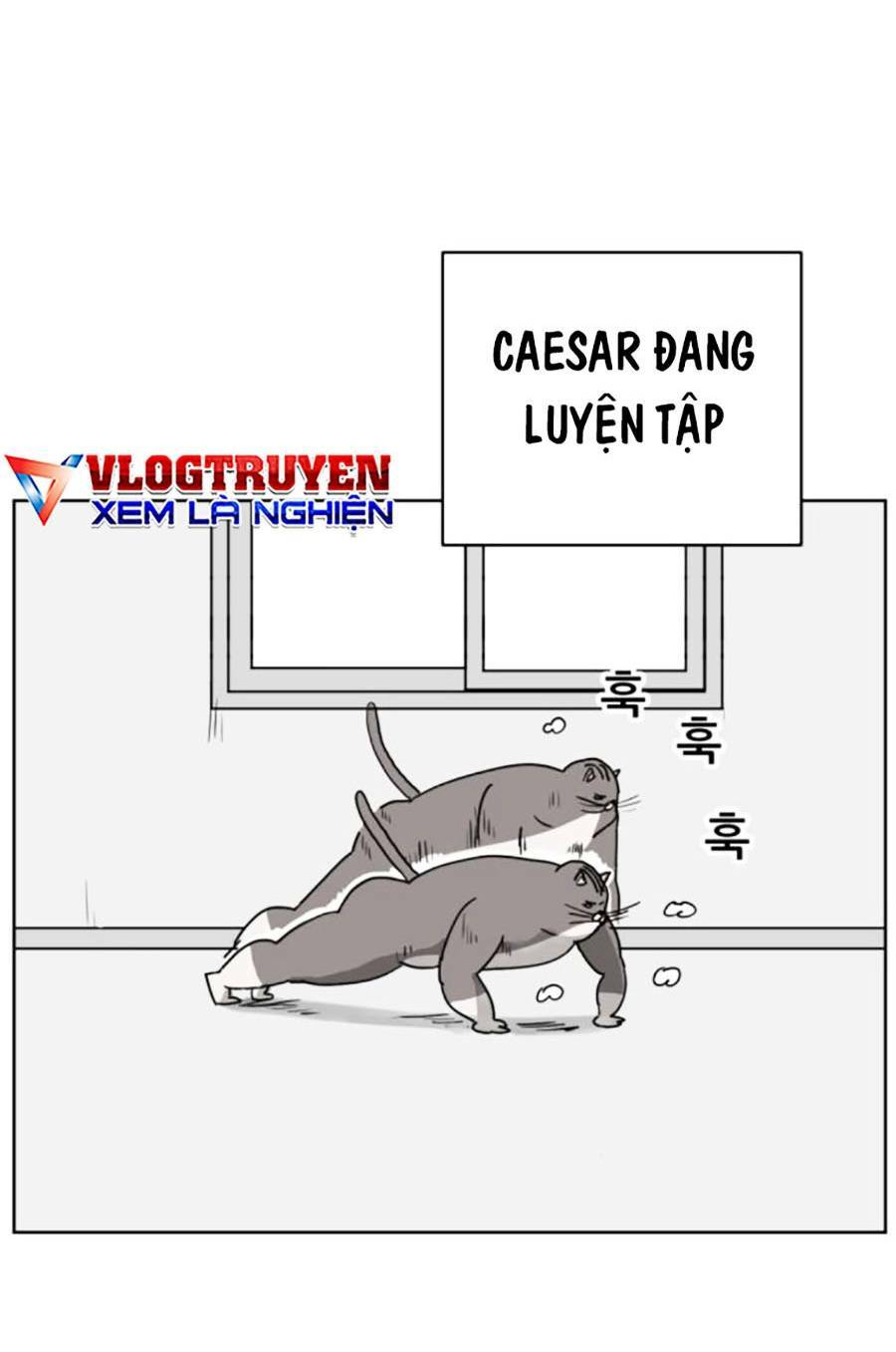 con mèo đô vật của tôi: Chapter 7