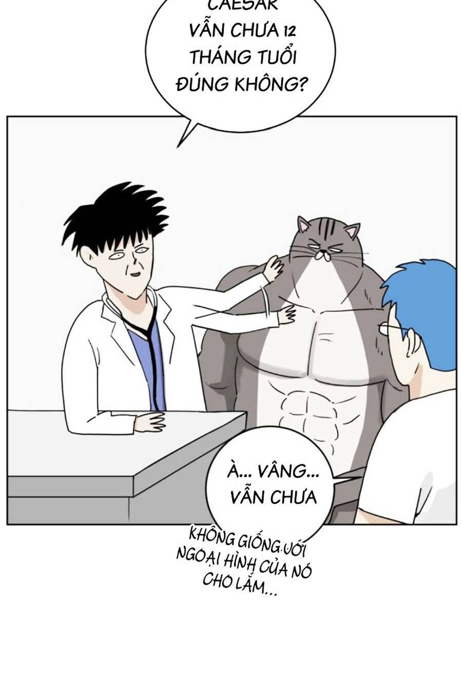 con mèo đô vật của tôi: Chapter 7