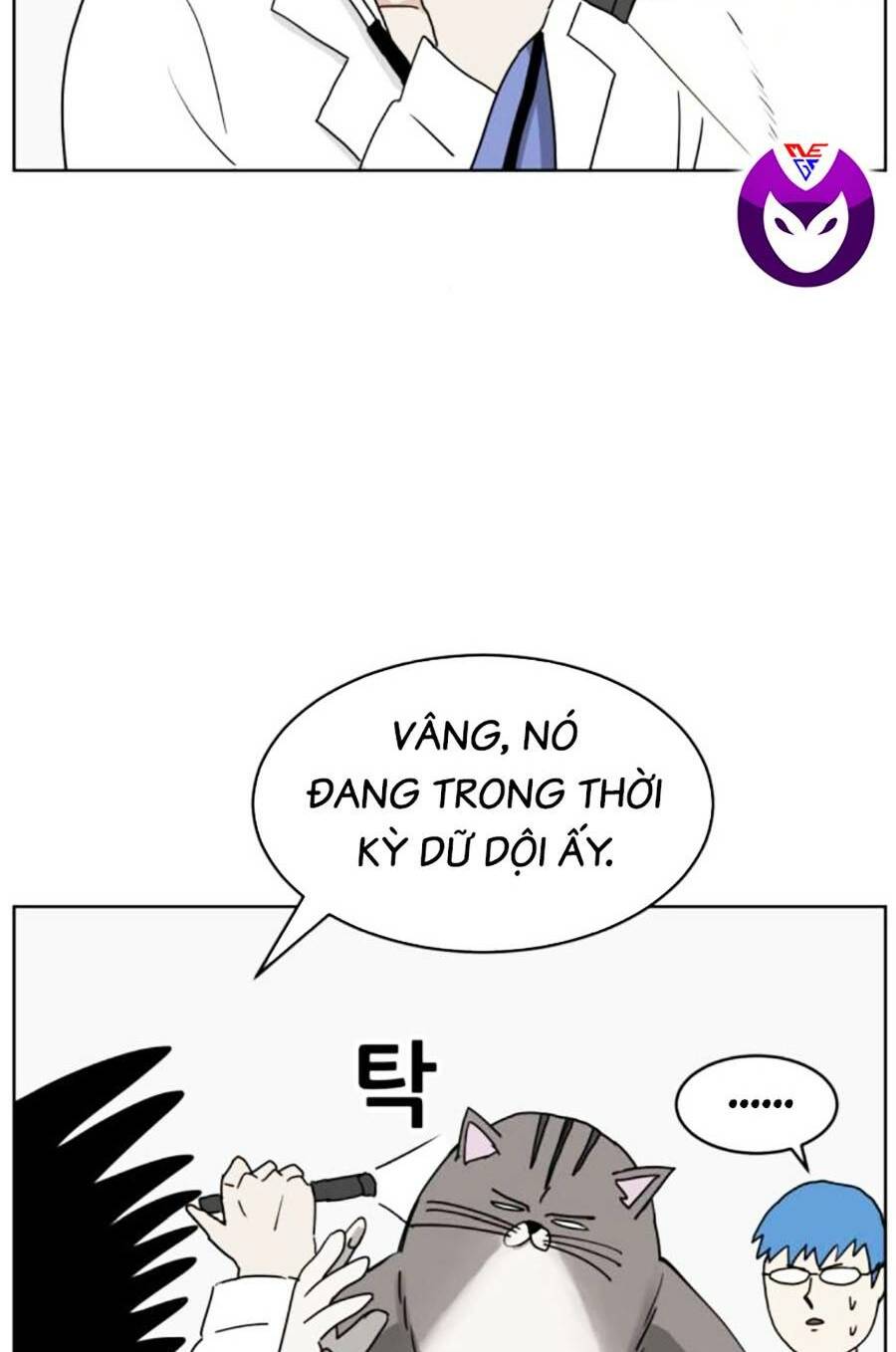 con mèo đô vật của tôi: Chapter 7