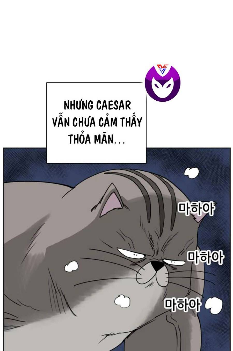 con mèo đô vật của tôi: Chapter 7