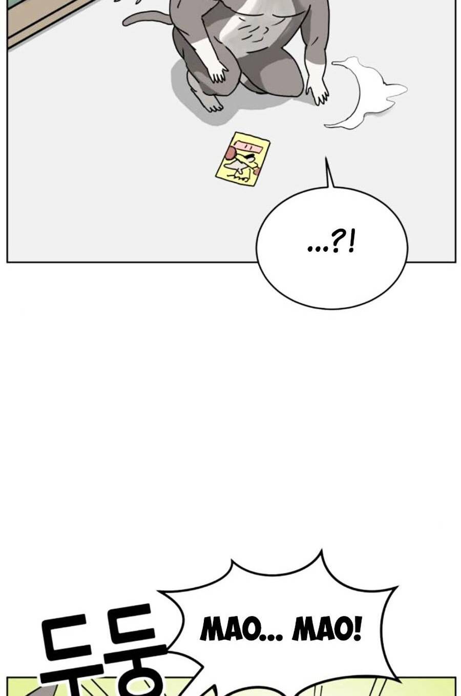 con mèo đô vật của tôi: Chapter 7