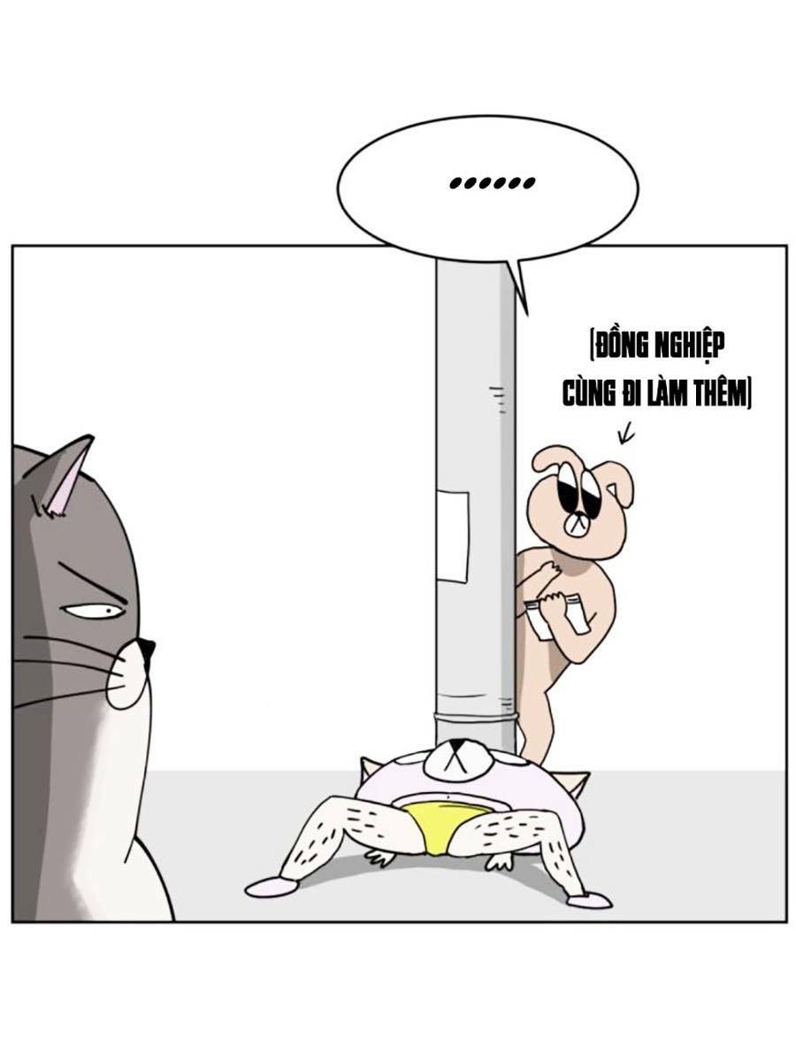 con mèo đô vật của tôi: Chapter 7