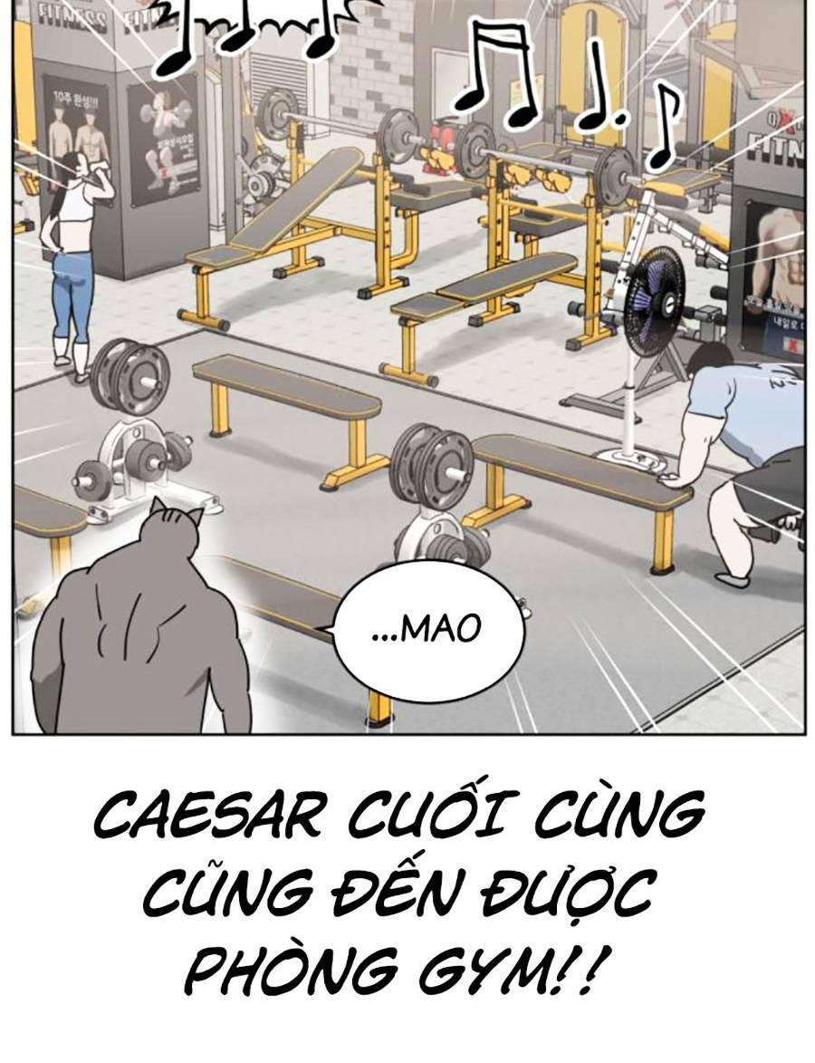con mèo đô vật của tôi: Chapter 7