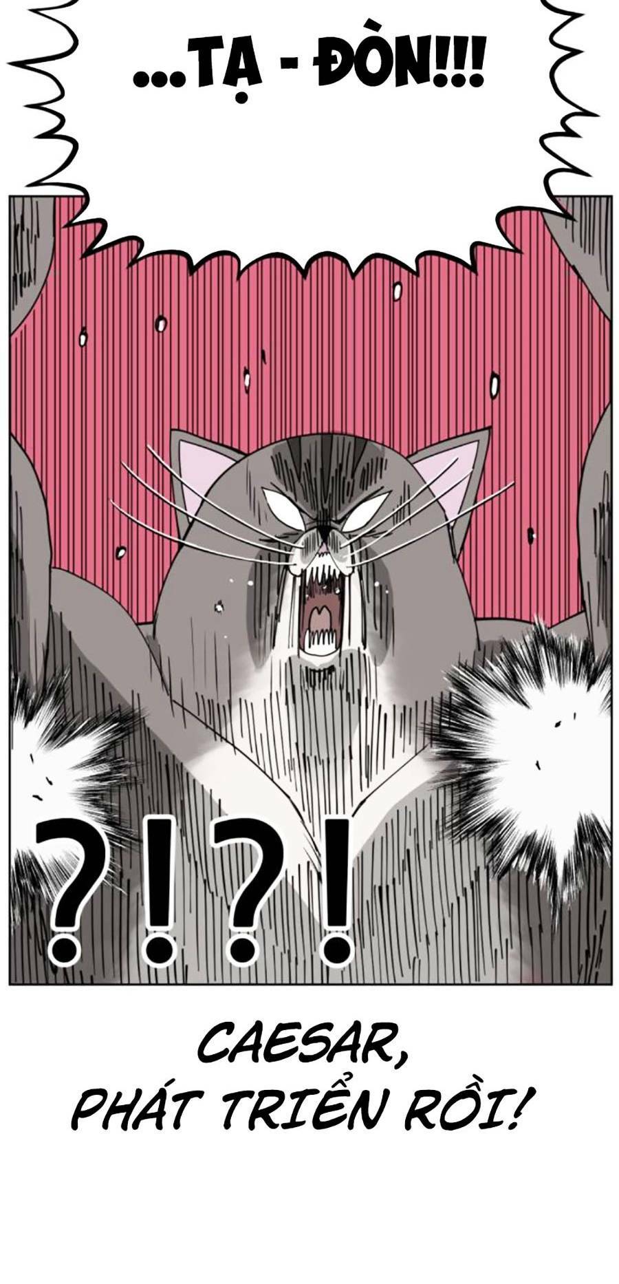 con mèo đô vật của tôi: Chapter 7