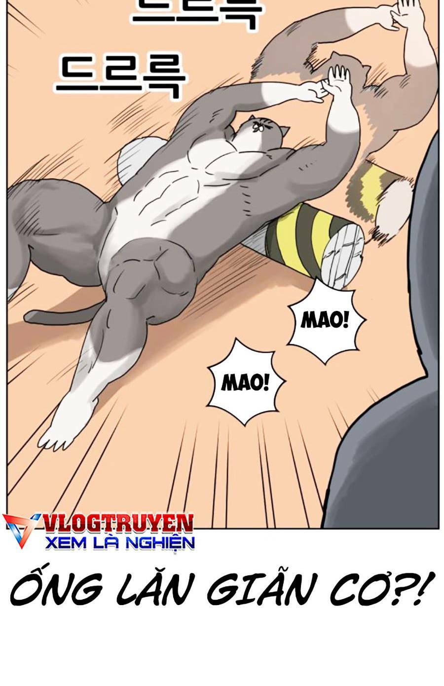 con mèo đô vật của tôi: Chapter 8