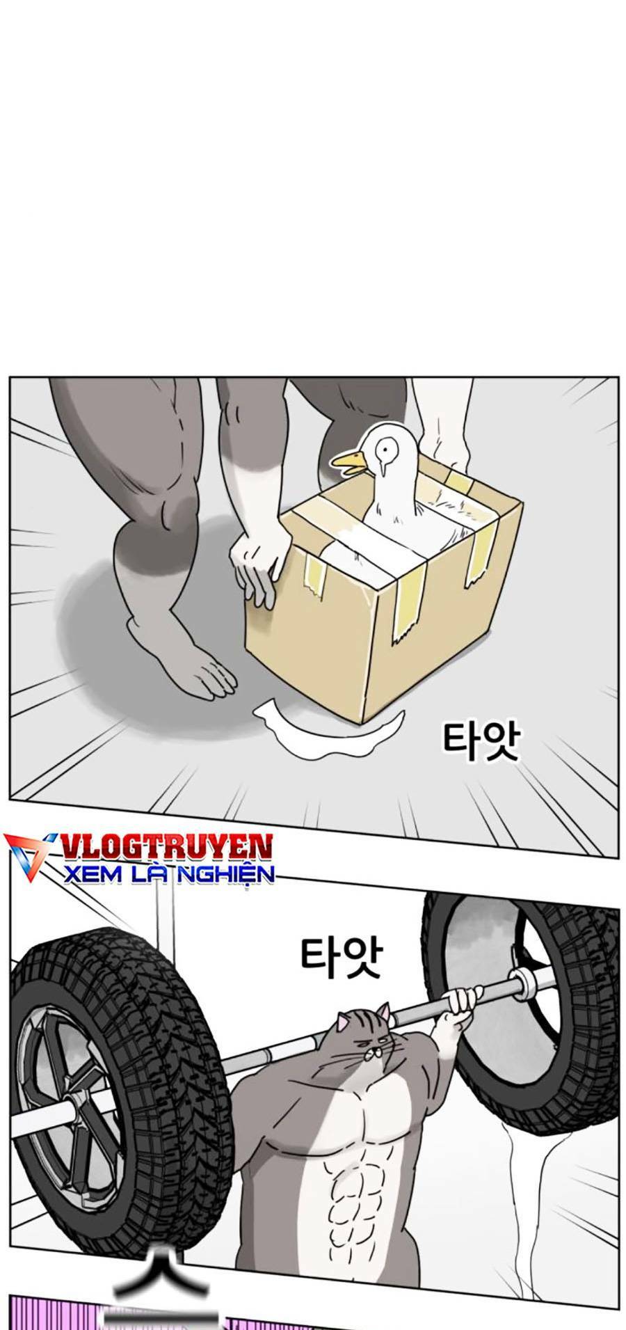 con mèo đô vật của tôi: Chapter 8
