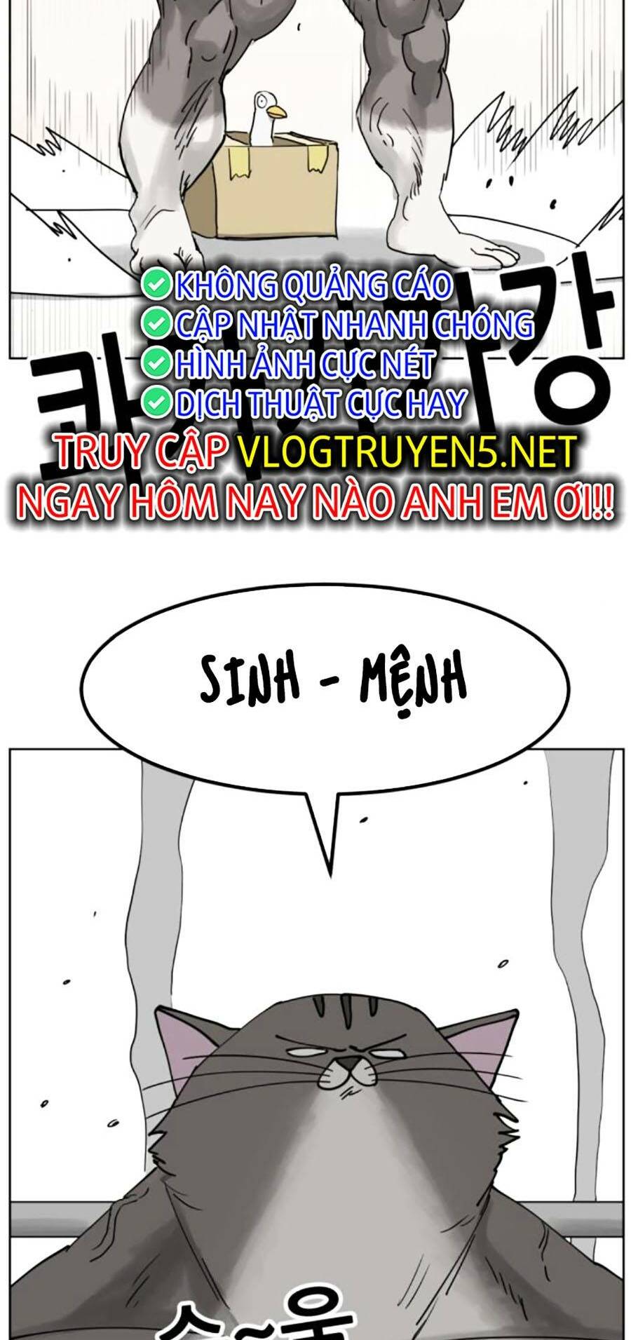 con mèo đô vật của tôi: Chapter 8