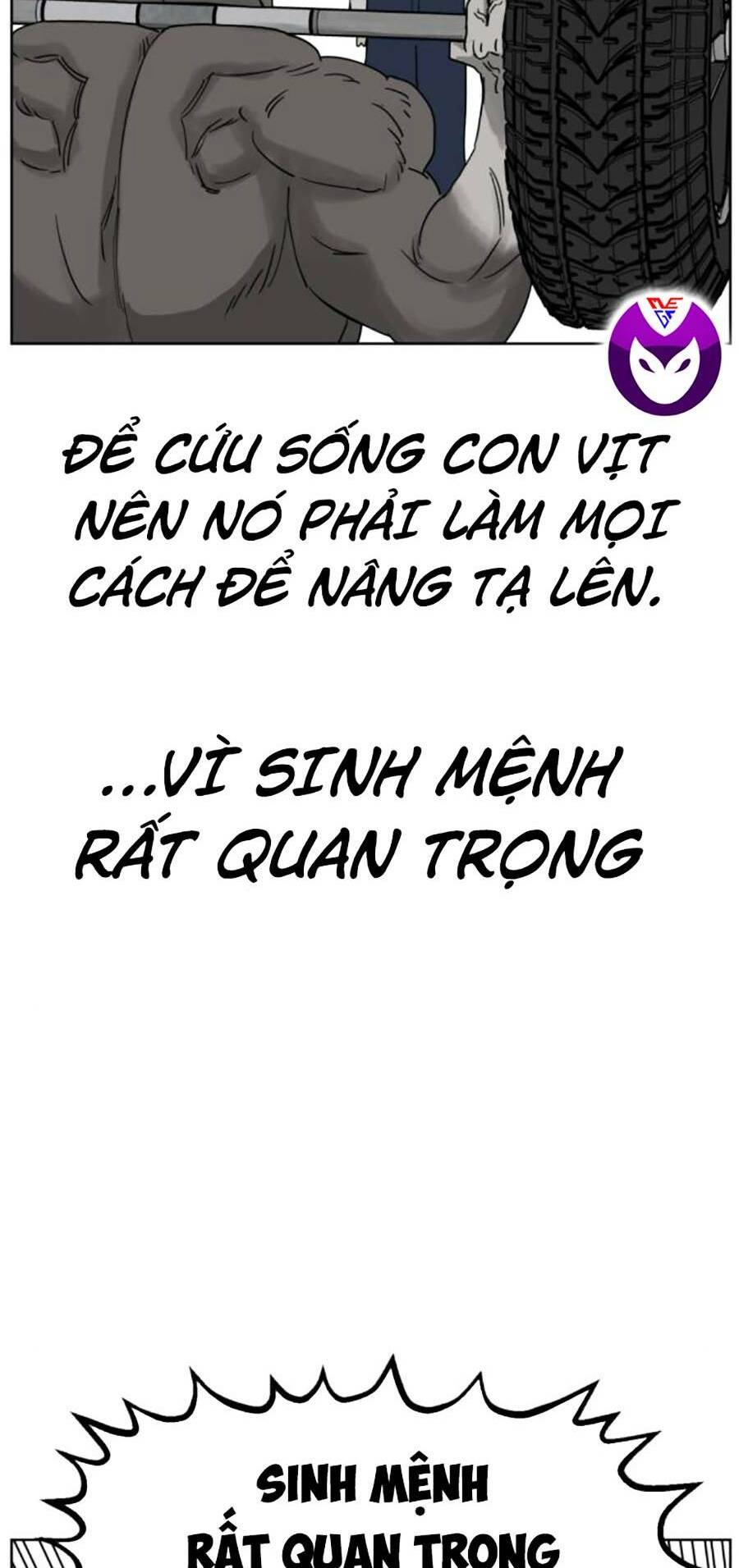 con mèo đô vật của tôi: Chapter 8
