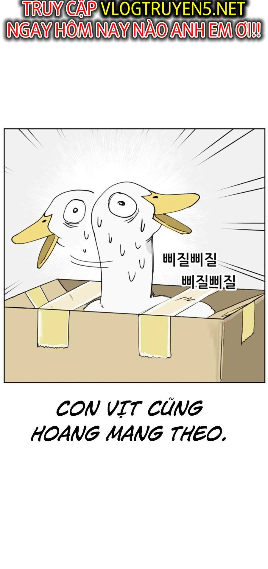 con mèo đô vật của tôi: Chapter 8