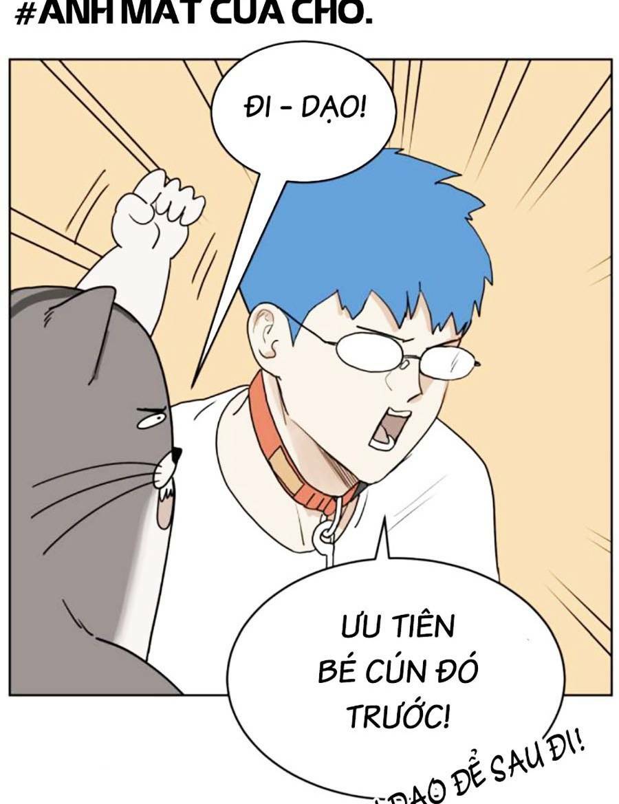 con mèo đô vật của tôi: Chapter 9