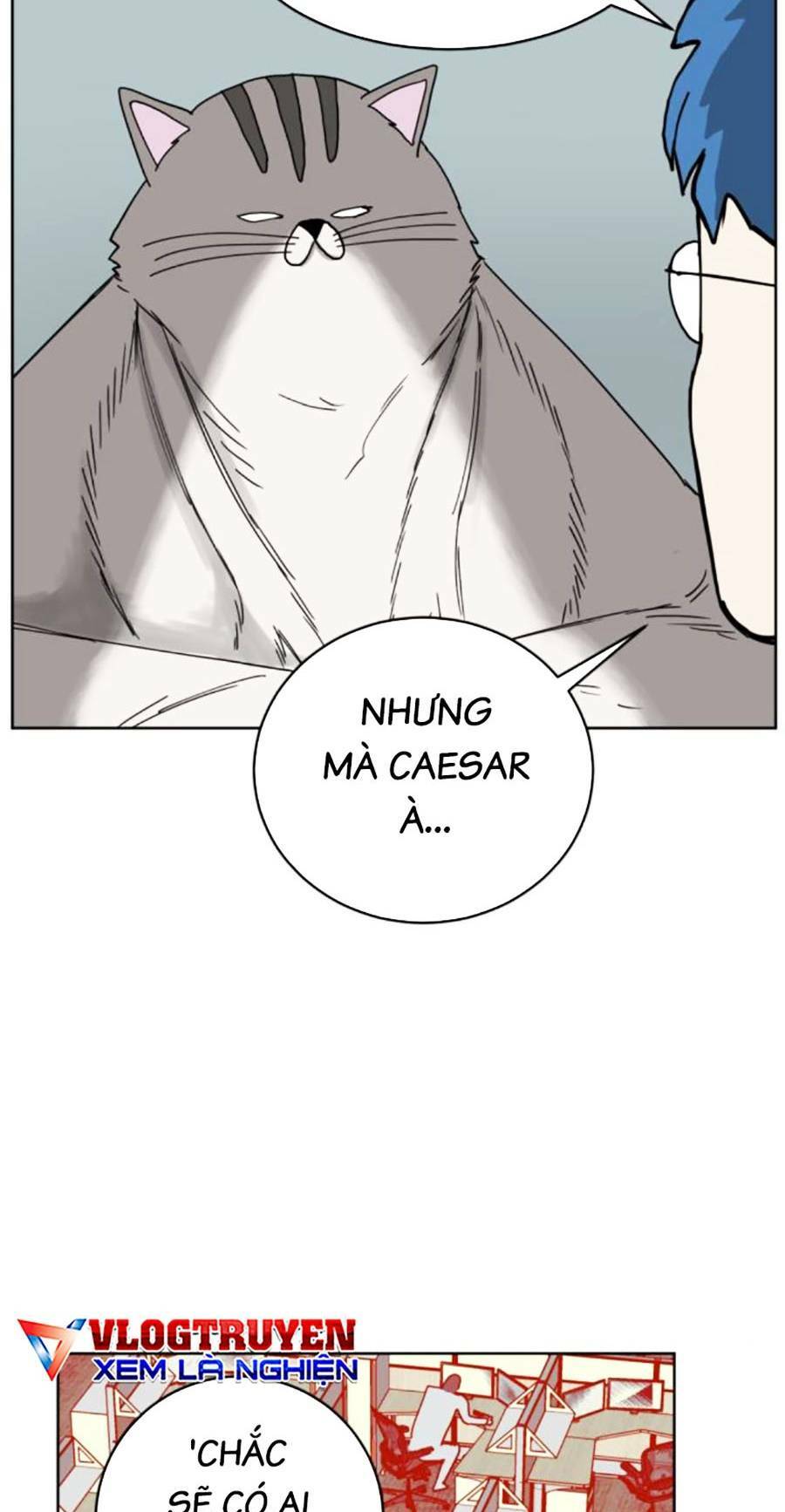 con mèo đô vật của tôi: Chapter 9