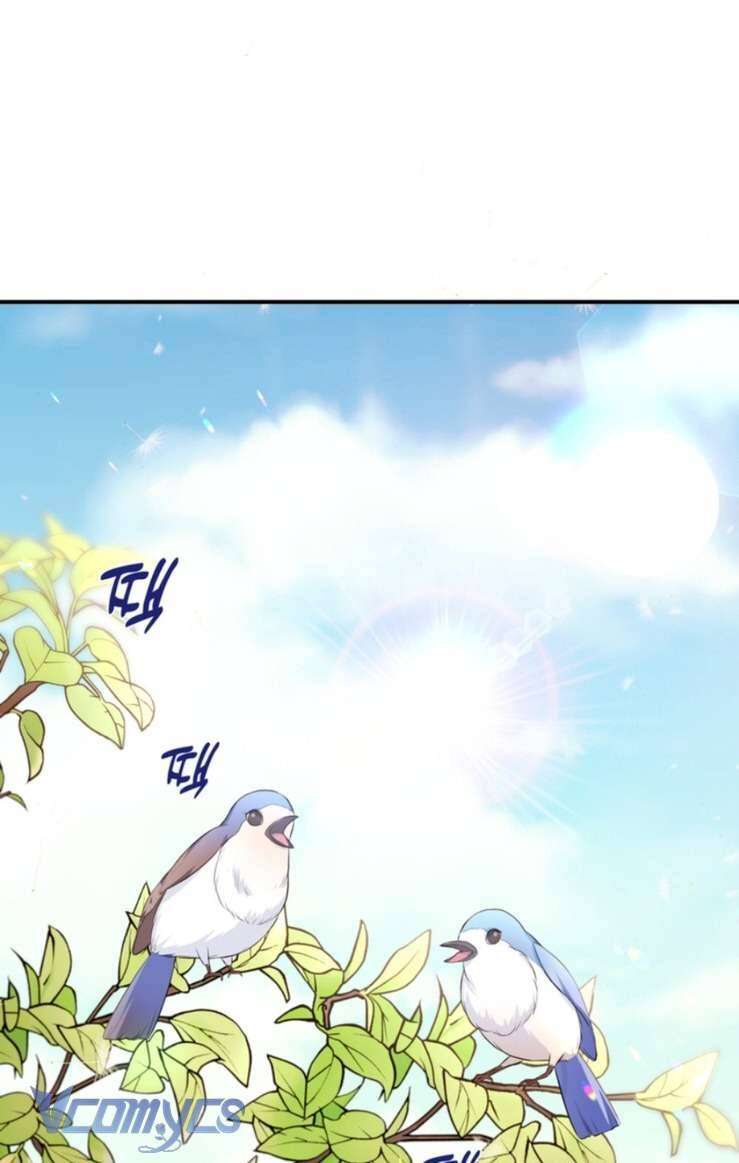 Công Chúa Bé Con Hạng S Thật Mạnh: Chapter 5
